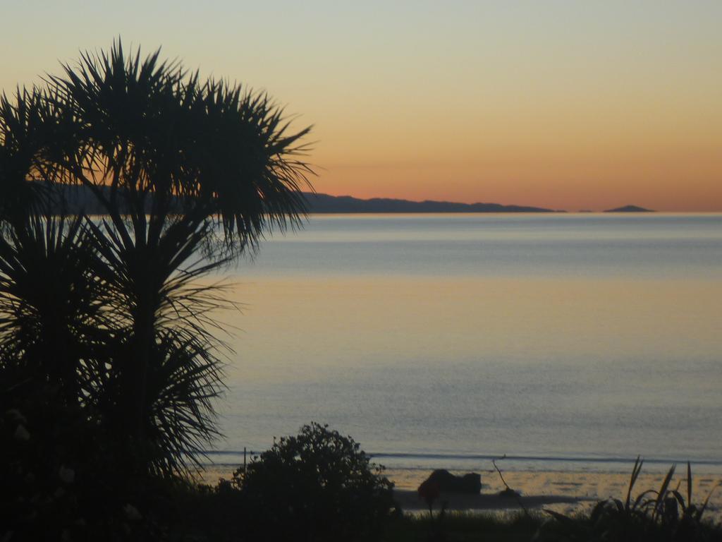 Pohutukawa Coast Bnb Te Puru Extérieur photo