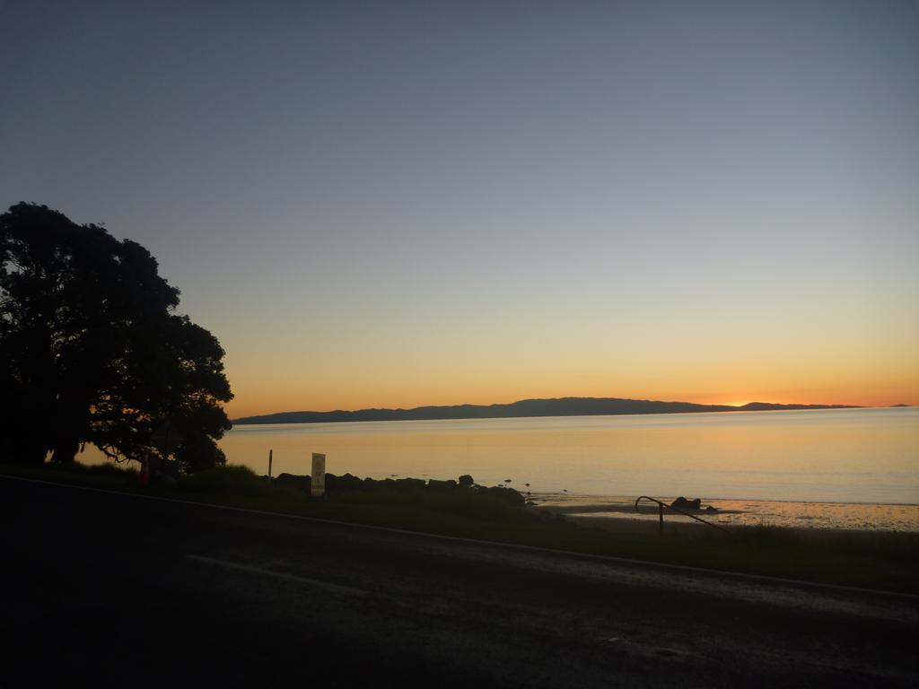 Pohutukawa Coast Bnb Te Puru Extérieur photo