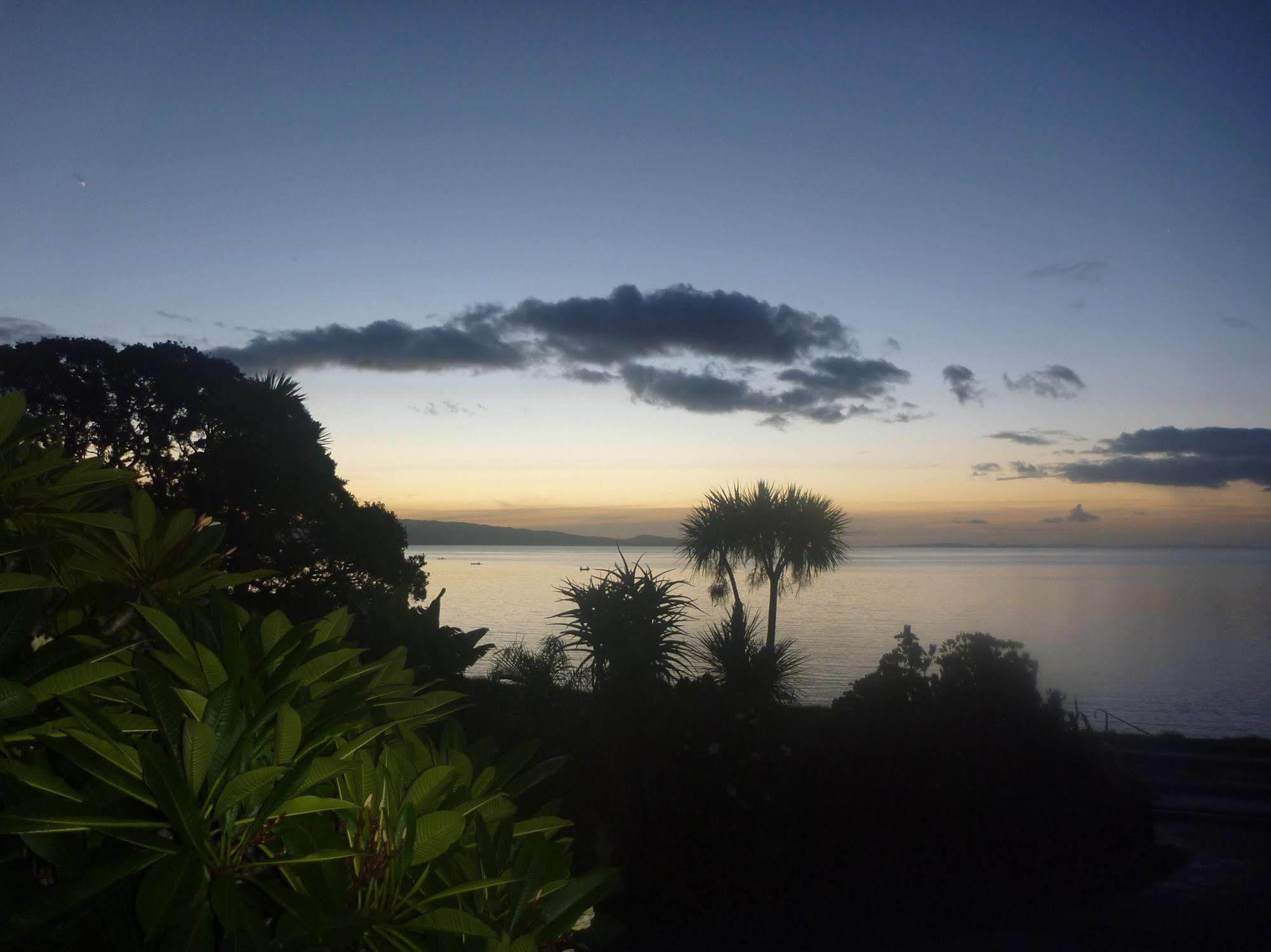 Pohutukawa Coast Bnb Te Puru Extérieur photo