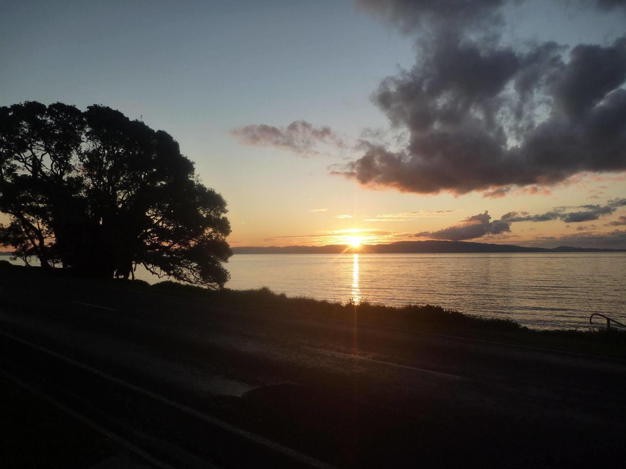Pohutukawa Coast Bnb Te Puru Extérieur photo