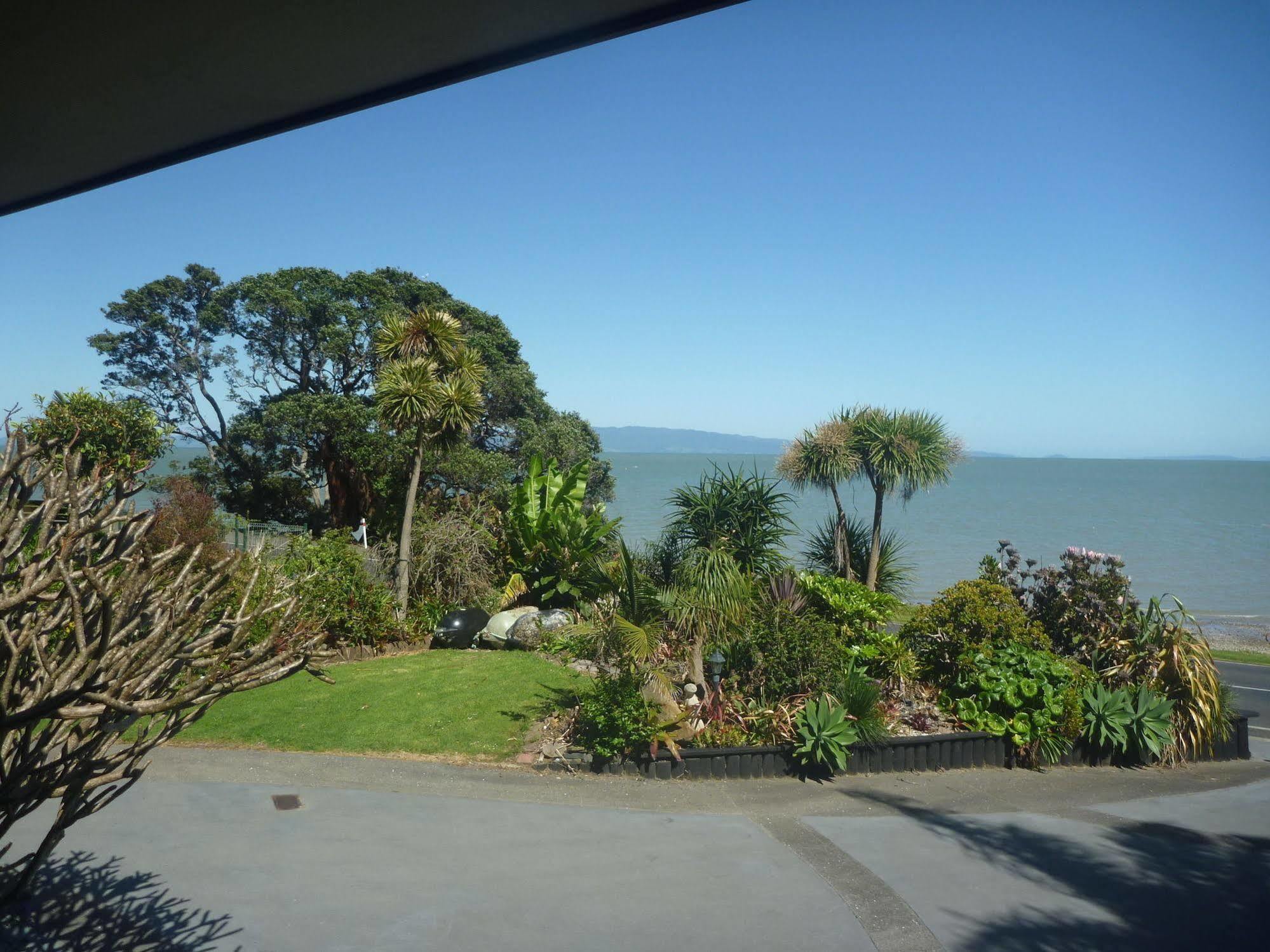 Pohutukawa Coast Bnb Te Puru Extérieur photo