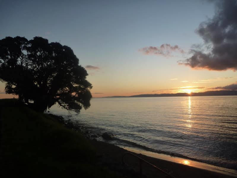 Pohutukawa Coast Bnb Te Puru Extérieur photo